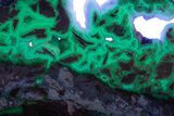 Polished Wyoming Youngite Agate/Jasper Slab - Fluorescent #184766-3